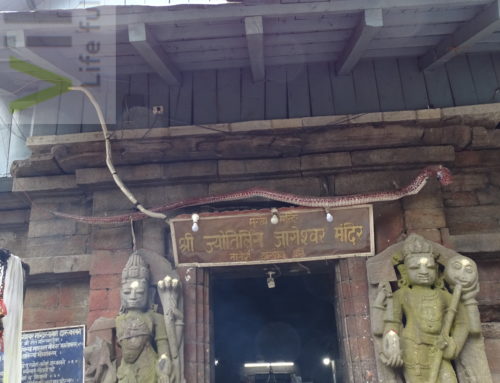 Jageshwar Temple in Almora – a temple must visit