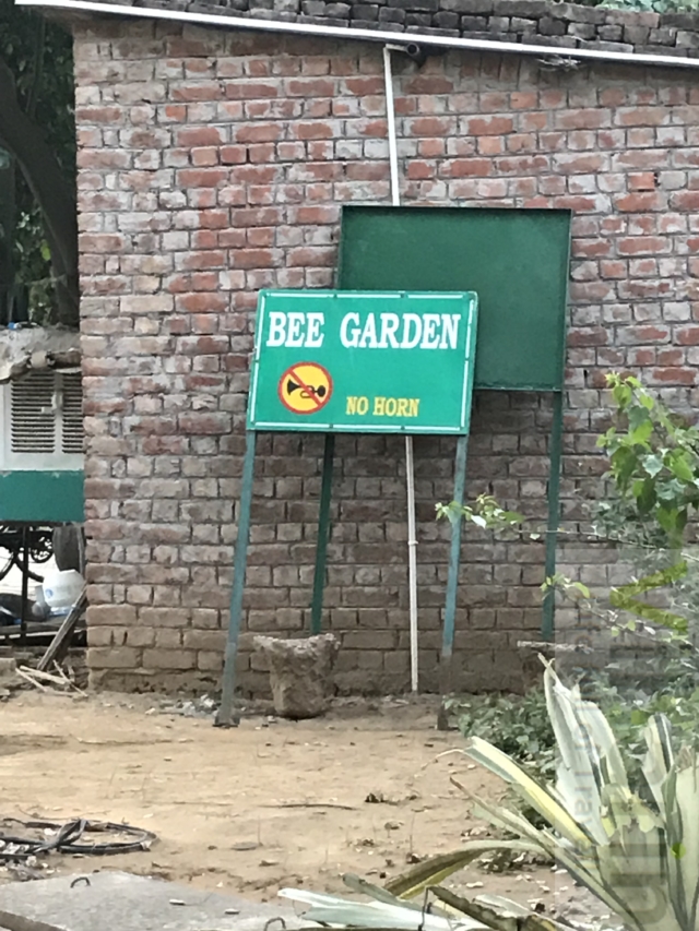 Bee Garden