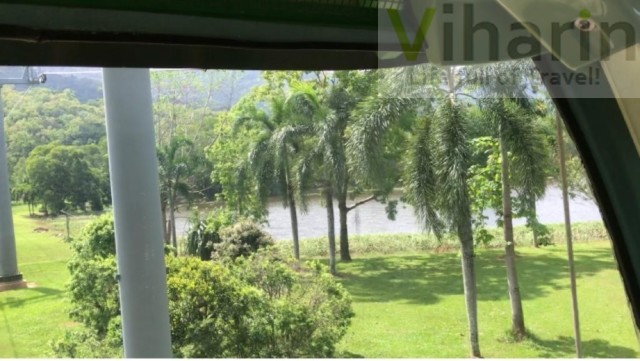 View of Karunda Rainforest from Cable Car