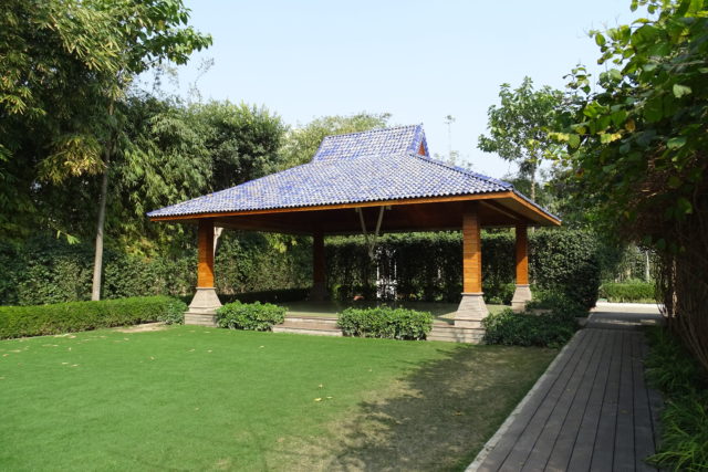 Garden with Arial Yoga facility